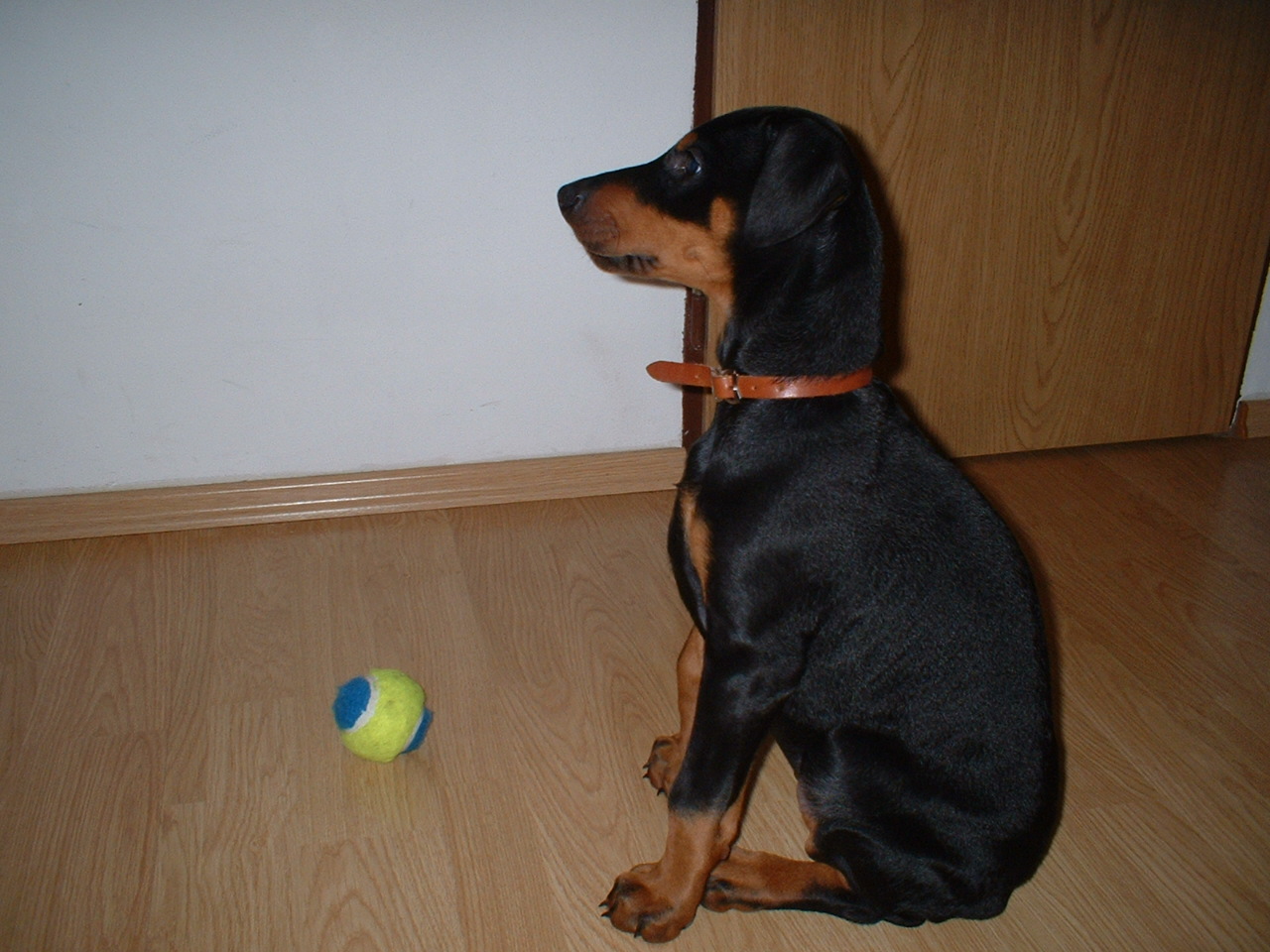 DSCF0039.JPG